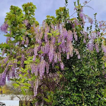 Camping Pilzone Iseo Dış mekan fotoğraf
